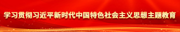 抽插欧美喷水学习贯彻习近平新时代中国特色社会主义思想主题教育